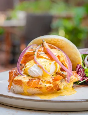 Salmon Bao-dict